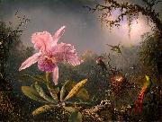 Cattleya Orchid and Three Hummingbirds Martin Johnson Heade